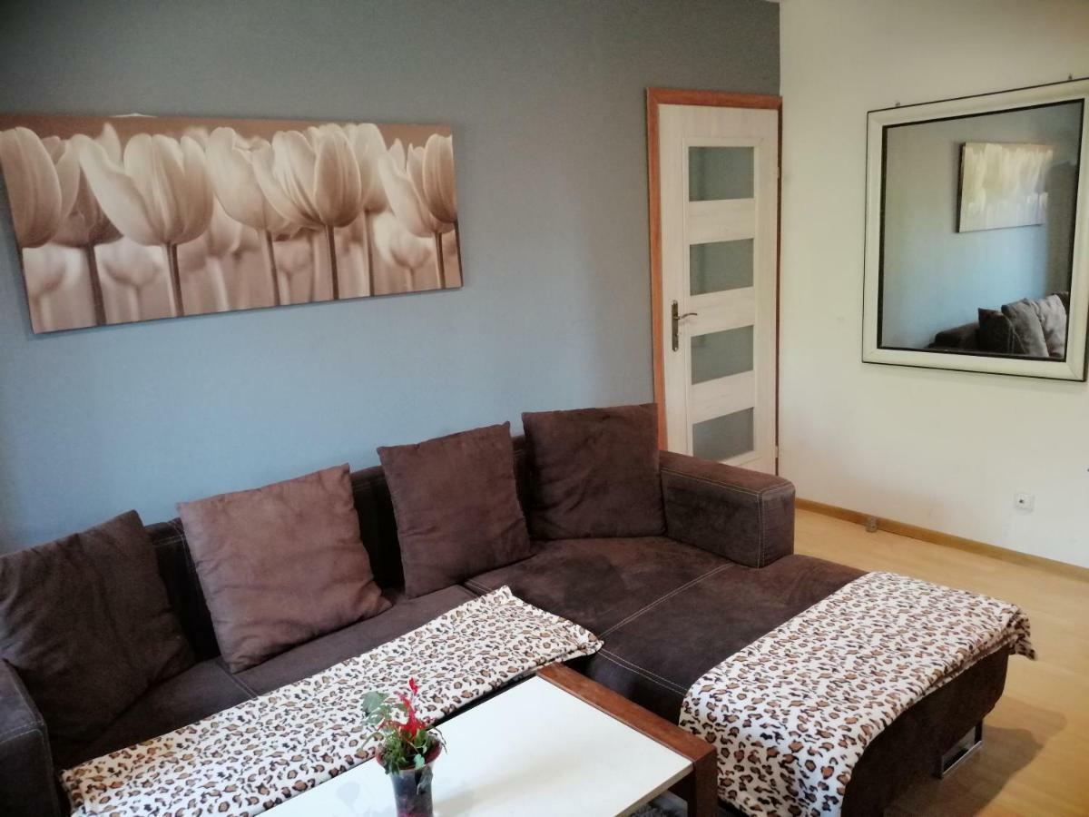 Schody Do Nieba Apartment ซาโกปาเน ภายนอก รูปภาพ